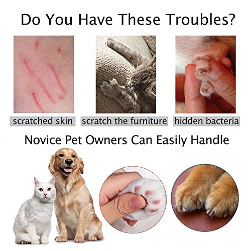 Angzhili Pet Nail Clippers - Cat Claw Clippers for Rabbit Puppy Kitten Kitty Guinea Pig Small Dog - Sharp, Safe,Anti-Scratch (green) - Image 3