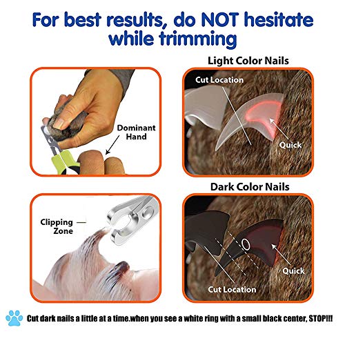 Angzhili Pet Nail Clippers - Cat Claw Clippers for Rabbit Puppy Kitten Kitty Guinea Pig Small Dog - Sharp, Safe,Anti-Scratch (green) - Image 5