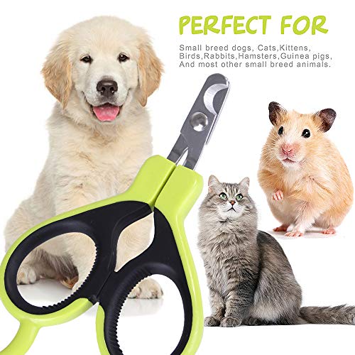 Angzhili Pet Nail Clippers - Cat Claw Clippers for Rabbit Puppy Kitten Kitty Guinea Pig Small Dog - Sharp, Safe,Anti-Scratch (green) - Image 7