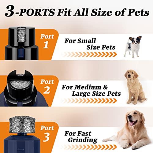 Bousnic Dog Nail Grinder and Clipper Kit - 2-Speed & 2 LED Lights Electric Rechargeable Pet Nail Trimmer Painless Paws Grooming & Smoothing for Small Medium Large Dogs & Cats - Image 6