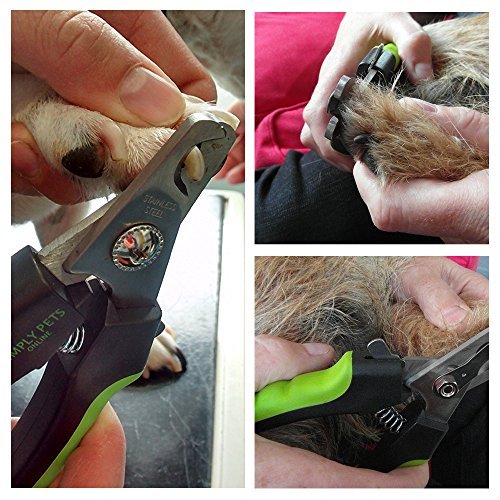 Dog Nail Clippers with Safety Guard - Superior Sharpness - Designed by Vets - Suitable for Large Dogs - Stainless Steel Dog Claw Clippers - Image 7