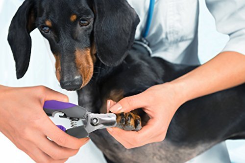 Professional Pet Nail Clipper and Trimmer By Hertzko - Suitable for Medium to Large Dogs and Cats - Includes Safety Guard to Avoid Overcutting - Bonus! Free Nail File Included! - Image 5