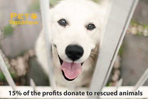 Pet Republique Dog Nail Grinder and Nail Clippers Series Size Option Dogs: Small, Medium, Large Dogs – Dog Claw Trimmer Kit (Clippers+Grinder, Small) - Image 5