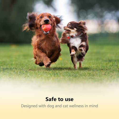 Thunderpaws Professional-Grade Dog Nail Clippers with Protective Guard and Safety Lock (Medium to Large Breeds, Yellow) - Image 7