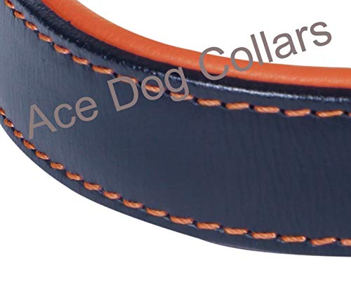 Comfy LEATHER DOG COLLAR Padded And lined with Lamb's Leather: 20" Collar- Will Fit 14" to 18" (1" Wide). - Image 6