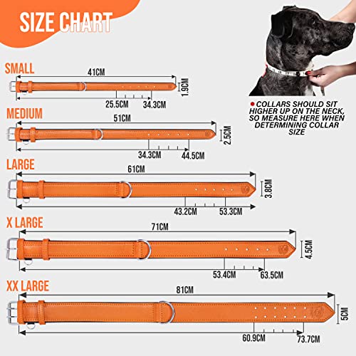 Riparo K-9 Padded Genuine Leather Adjustable Heavy Duty Dog Collar (S: 1.9CM Wide for 28CM - 34.3CM Neck, Orange) - Image 8