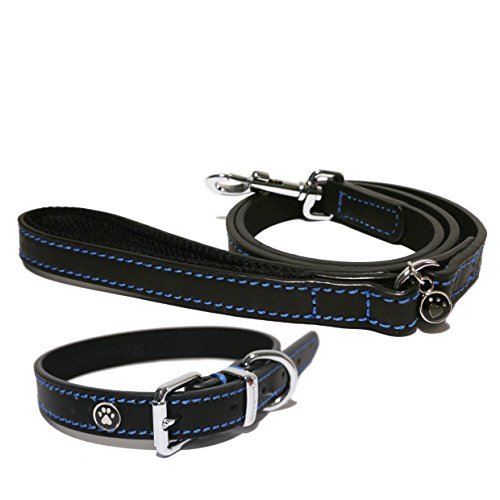 Rosewood Luxury Leather Dog Collar, 10 - 14-inch, Black - Image 3